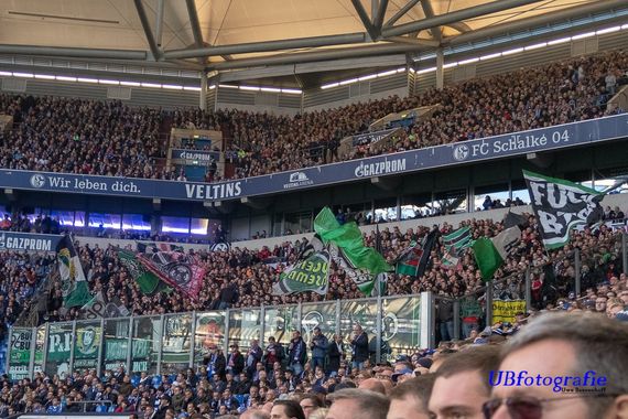 FC Schalke 04 vs Hannover 96 (3-1) (11)