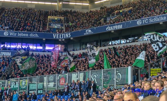 FC Schalke 04 vs Hannover 96 (3-1) (15)