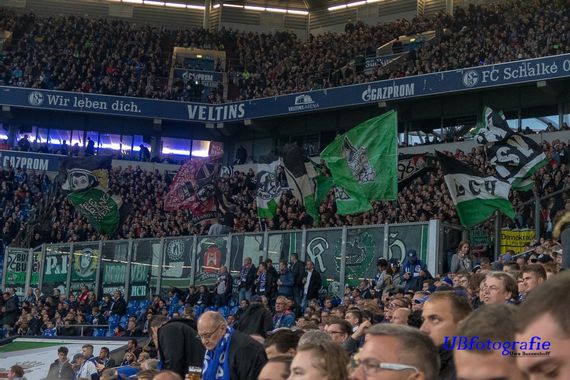 FC Schalke 04 vs Hannover 96 (3-1) (16)