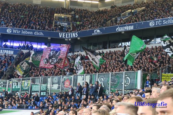 FC Schalke 04 vs Hannover 96 (3-1) (19)