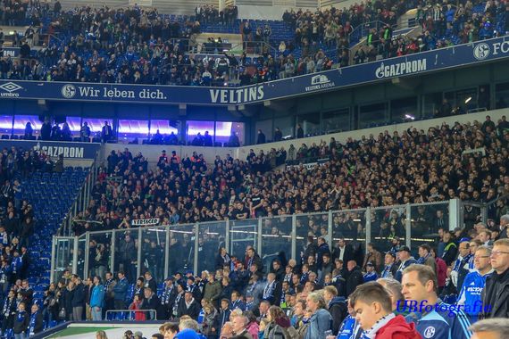 FC Schalke 04 vs Hannover 96 (3-1) (20)