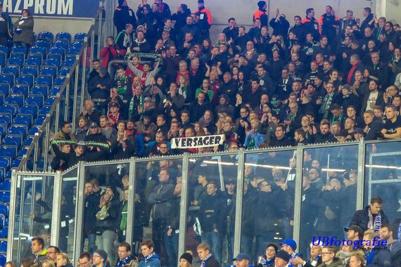 FC Schalke 04 vs Hannover 96 (3-1) (21)
