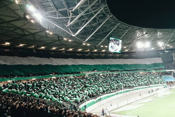 Hannover 96 vs TSG Hoffenheim (1-3) (1)
