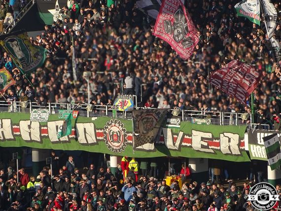 Hannover 96 vs VfB Stuttgart (2-2) (11)
