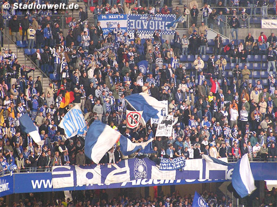 Hamburger SV vs Hertha BSC (2-0) (3)