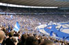 Hertha BSC vs 1. FSV Mainz 05 (1-1)