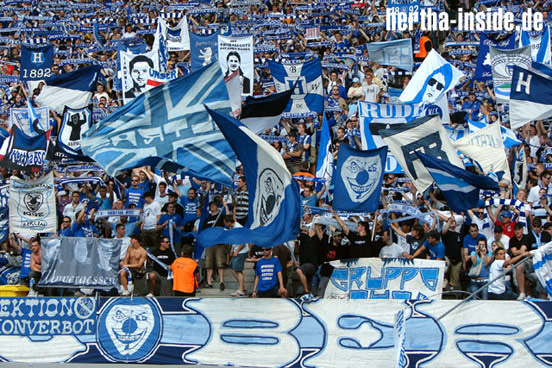 Hertha BSC vs 1. FC Nürnberg (1-0) (10)