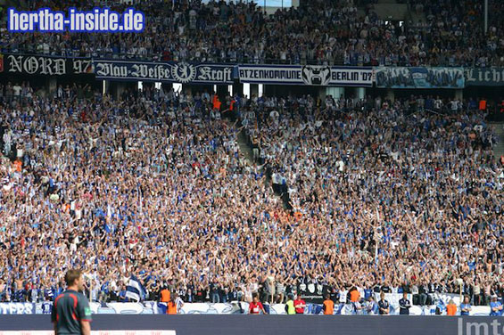 Hertha BSC vs VfL Bochum (2-0) (9)