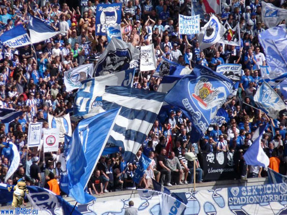 Hertha BSC vs VfL Bochum (2-0) (16)