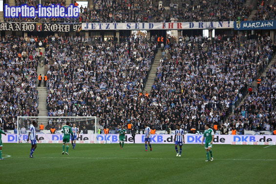 Hertha BSC vs VfL Wolfsburg (0-0) (8)