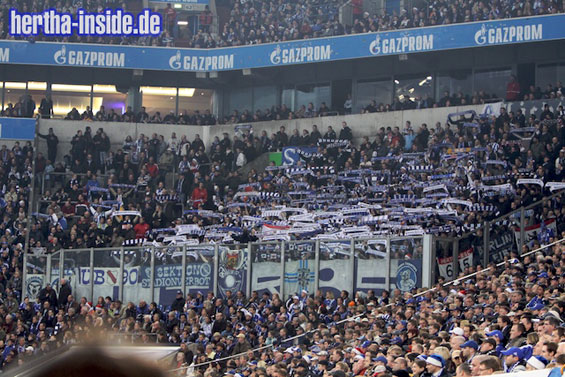 FC Schalke 04 vs Hertha BSC (2-0) (7)