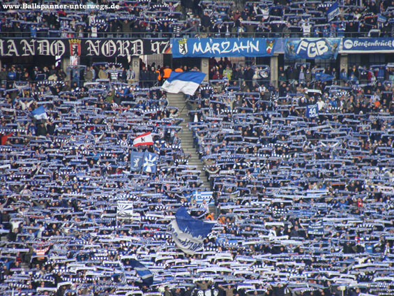 Hertha BSC vs 1. FC Nürnberg (1-2) (5)
