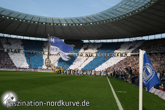 Hertha BSC vs 1. FC Nürnberg (0-1) (2)