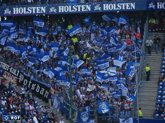 Hamburger SV vs Hertha BSC (2-2) (1)