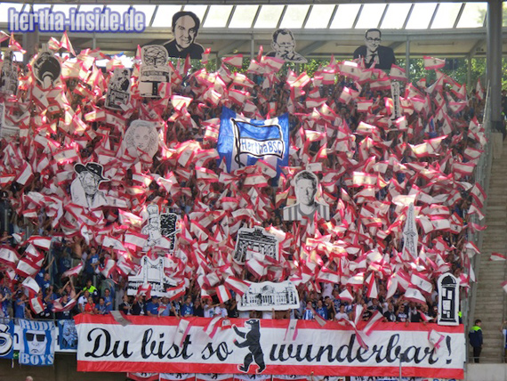 Hannover 96 vs Hertha BSC (1-1) (13)