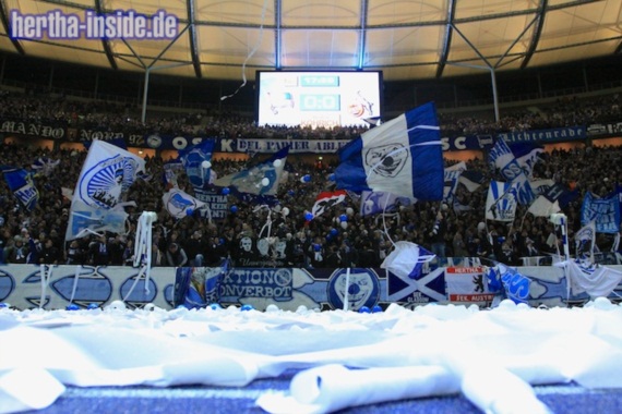 Hertha BSC vs 1. FC Köln (1-1) (12)