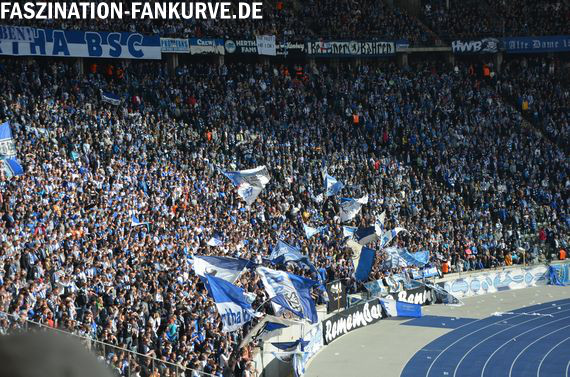 Hertha BSC vs 1. FC Köln (0-0) (6)
