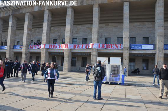 Hertha BSC vs 1. FC Köln (0-0) (13)