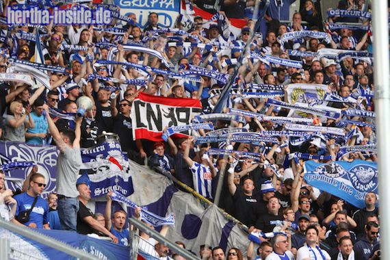 TSG Hoffenheim vs Hertha BSC (2-1) (13)