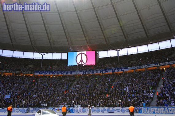 Hertha BSC vs TSG Hoffenheim (1-0) (15)