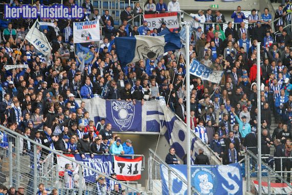 TSG Hoffenheim vs Hertha BSC (2-1) (7)