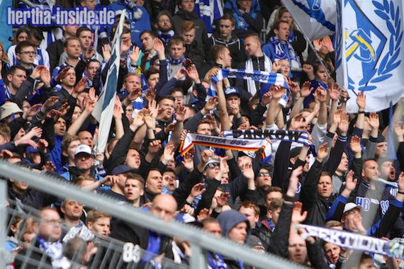 TSG Hoffenheim vs Hertha BSC (2-1) (21)