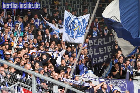 TSG Hoffenheim vs Hertha BSC (2-1) (22)