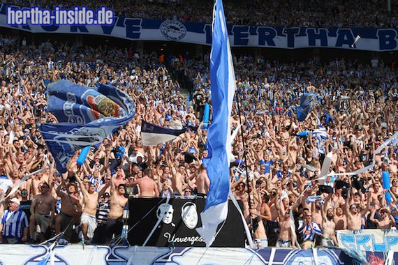 Hertha BSC vs SV Darmstadt 98 (1-2) (21)