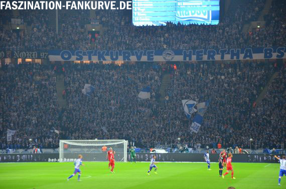 Hertha BSC vs 1. FC Köln (2-0) (3)