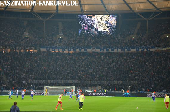 Hertha BSC vs 1. FC Köln (2-0) (10)