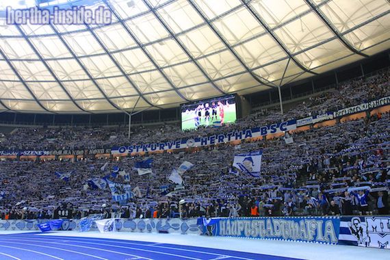 Hertha BSC vs 1. FC Köln (2-0) (19)