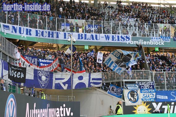 VfL Wolfsburg vs Hertha BSC (2-3) (15)