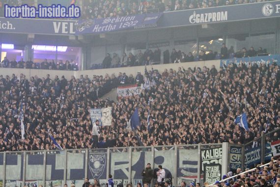 FC Schalke 04 vs Hertha BSC (2-0) (7)