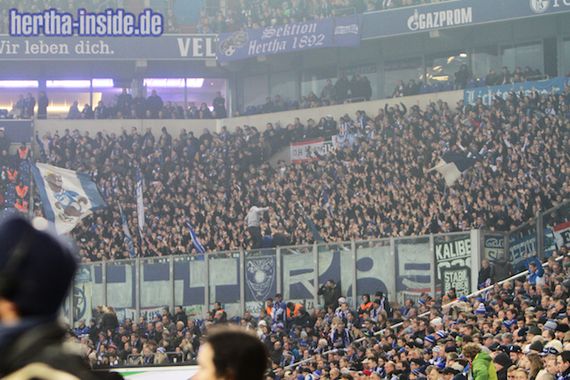 FC Schalke 04 vs Hertha BSC (2-0) (8)