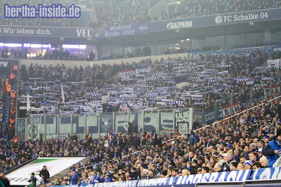 FC Schalke 04 vs Hertha BSC (2-0) (9)