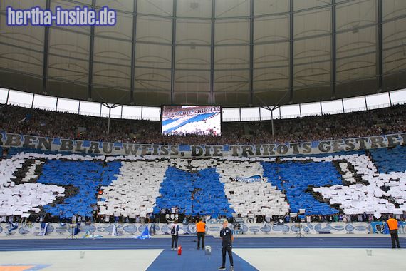 Hertha BSC vs FC Schalke 04 (2-0) (13)