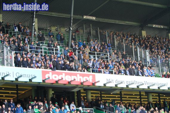 Werder Bremen vs Hertha BSC (2-0) (4)