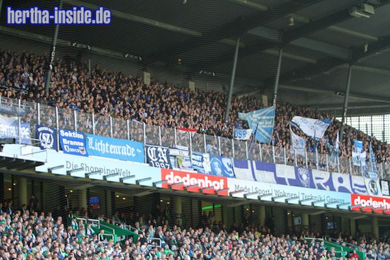 Werder Bremen vs Hertha BSC (2-0) (7)