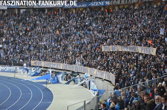 Hertha BSC vs 1. FC Köln (2-1) (14)