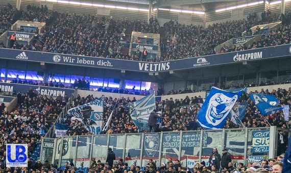 FC Schalke 04 vs Hertha BSC (1-0)