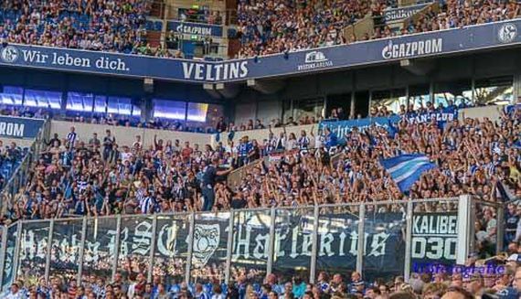 FC Schalke 04 vs Hertha BSC (0-2) (7)