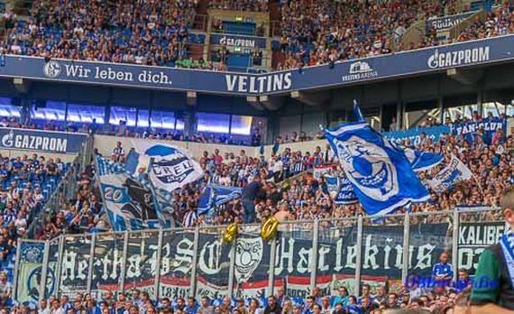 FC Schalke 04 vs Hertha BSC (0-2) (8)