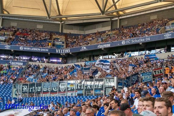 FC Schalke 04 vs Hertha BSC (3-0) (5)