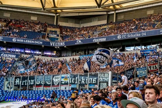 FC Schalke 04 vs Hertha BSC (3-0) (6)