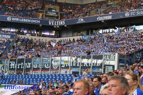 FC Schalke 04 vs Hertha BSC (3-0) (8)