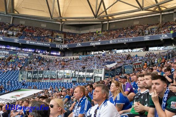 FC Schalke 04 vs Hertha BSC (3-0) (11)