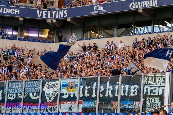 FC Schalke 04 vs Hertha BSC (3-0) (12)