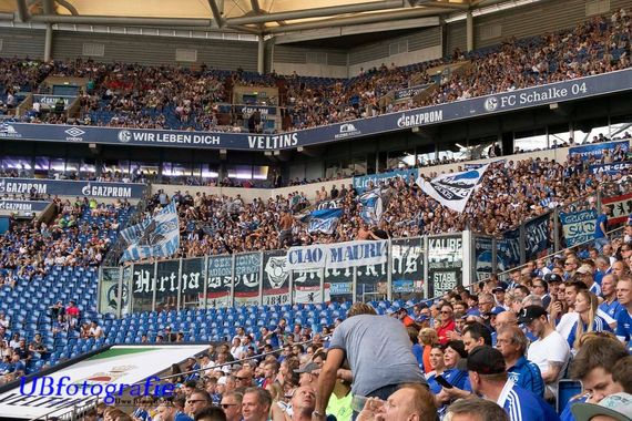 FC Schalke 04 vs Hertha BSC (3-0) (13)
