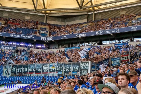 FC Schalke 04 vs Hertha BSC (3-0) (14)