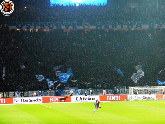 Hertha BSC vs Fortuna Düsseldorf (3-1) (6)